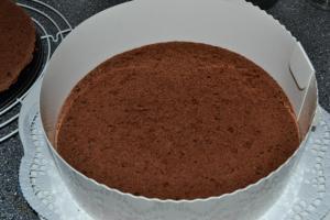 Stracciatella - Erdbeer - Schoko - Torte1