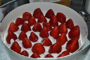 Stracciatella - Erdbeer - Schoko - Torte5