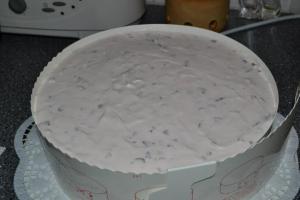 Stracciatella - Erdbeer - Schoko - Torte6