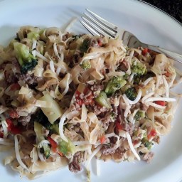 Asiatische-Nudel-Hack-Pfanne